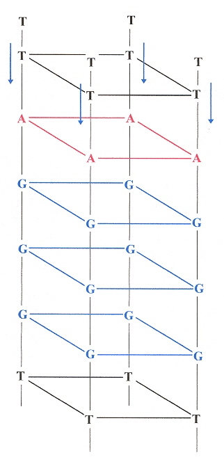 A-Tetrad