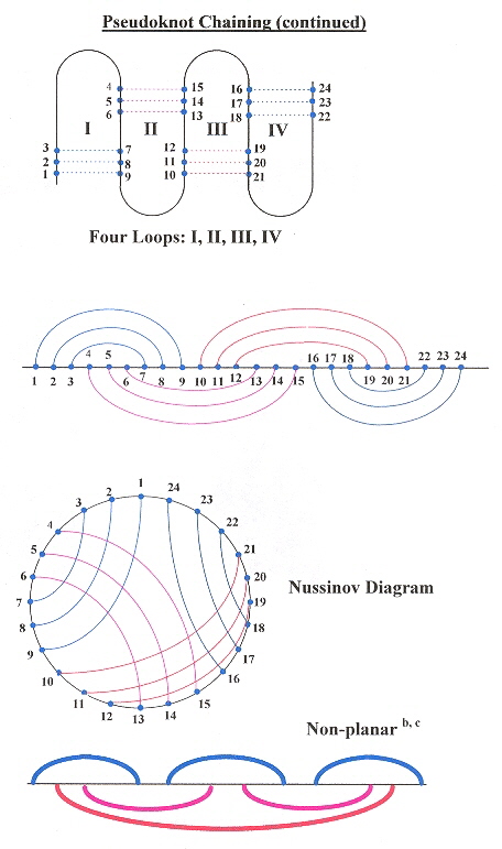 Four-Loop Pseudoknot Chain