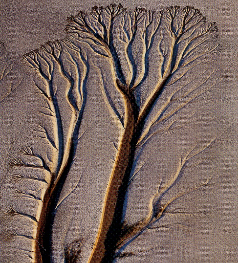Example of an Alluvial River Channel