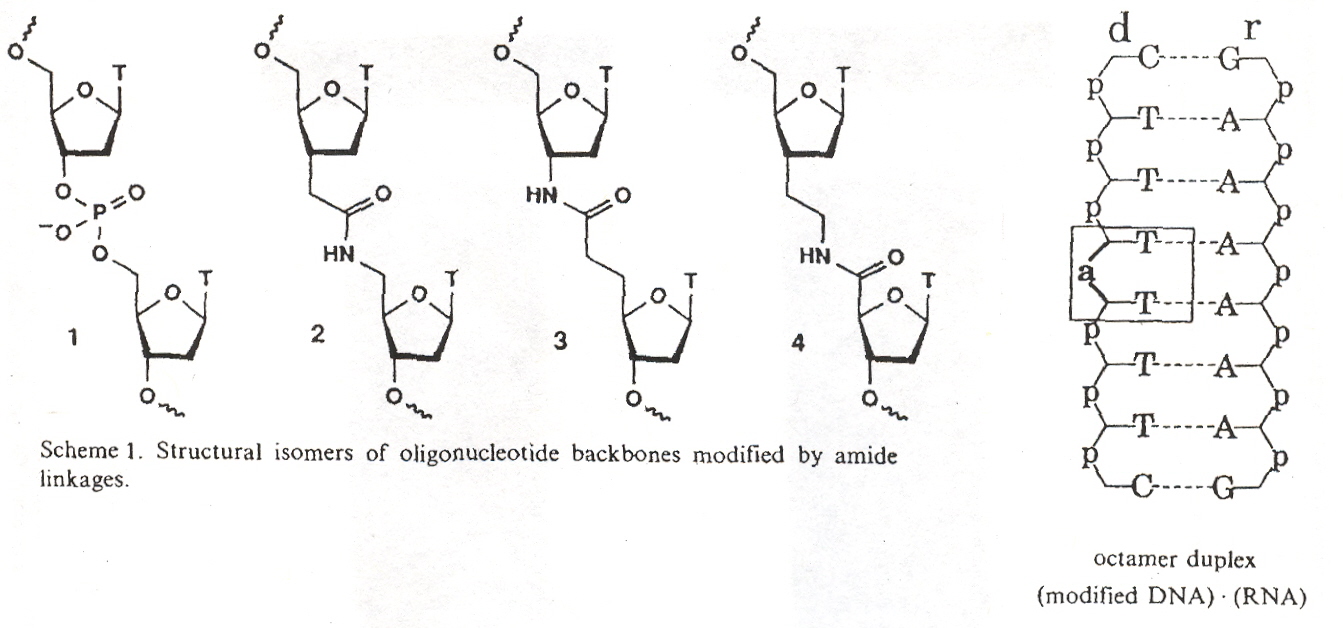 Amides