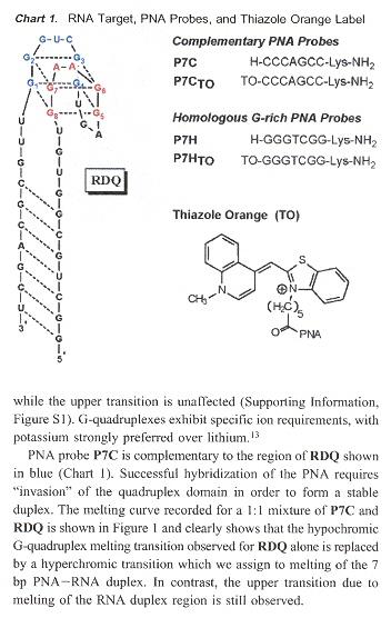 RDQ Quadruplex with PNA Probes