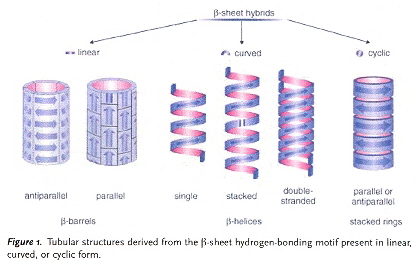 Idealized Self-Assembling Peptide Tubular Structures