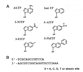 Molecules Used