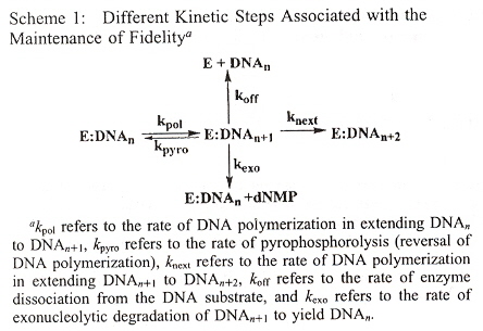Different Rate Constants