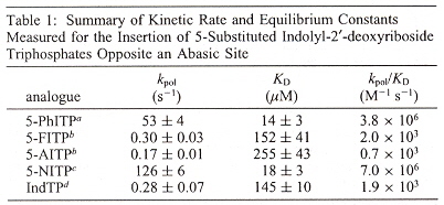 Rate of Nontemplating Base Incorporation