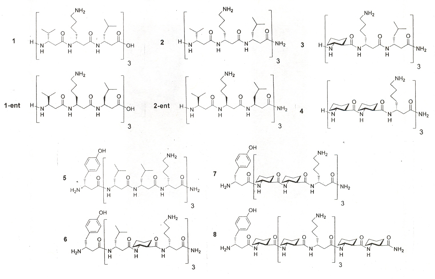 Beta Peptides