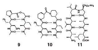 Beta-Sheets