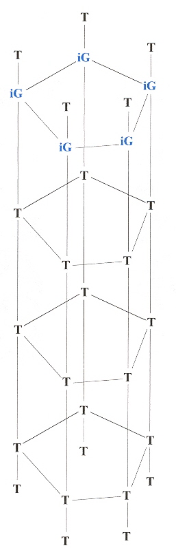DNA Pentaplex