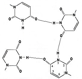 Parallel U-Quartet