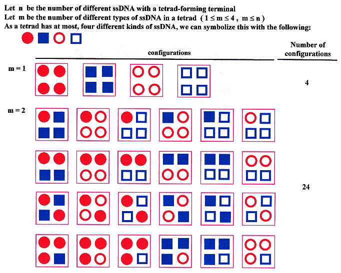 Tetrad types and Configurations, n = 4