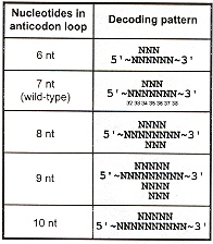 Nonnatural amino acids