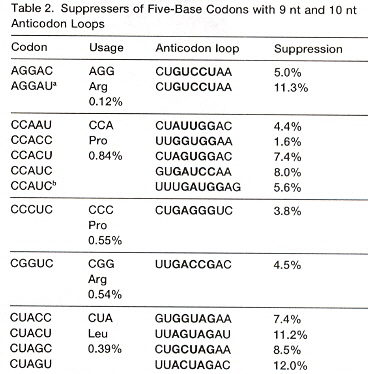 Nonnatural amino acids