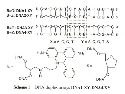 mismatch/abasic assay