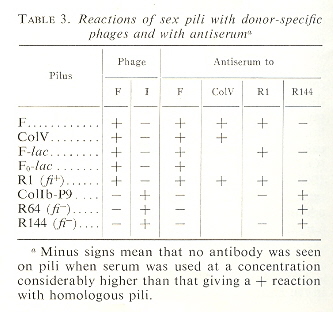 Plasmid Pili Classes