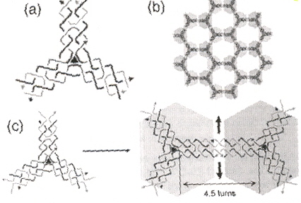 Hexagonal: Shape grammar