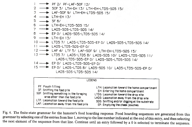 Hamster Non-Deterministic Finite State Machine