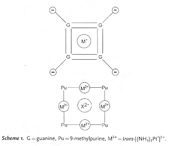 Synthetic Purine Quartet