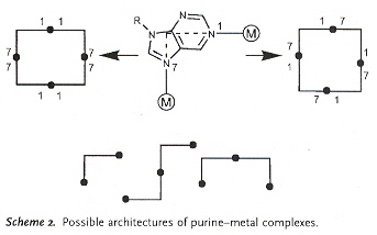 Synthetic Purine-metal Architectures