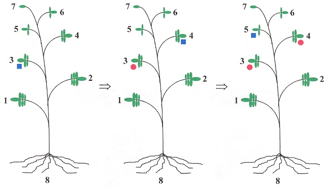 Example, part A