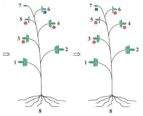 Example, part B