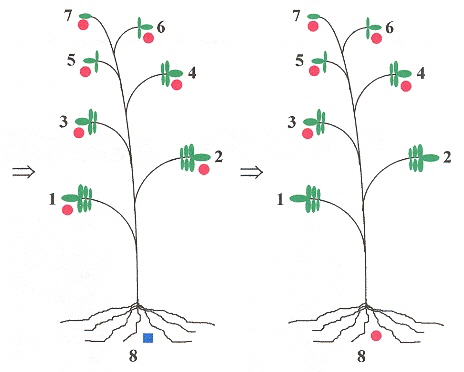 Example, part C