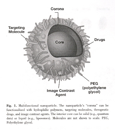 Nanoparticle