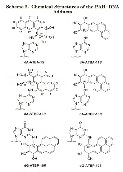 PAH Adducts