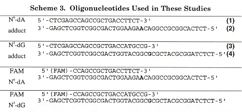 PAH A and G Adduct Oligonucleotides