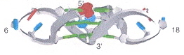 TTA External Propeller Loop