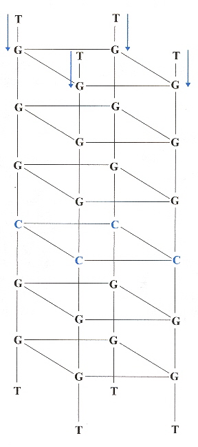 C-Tetrad