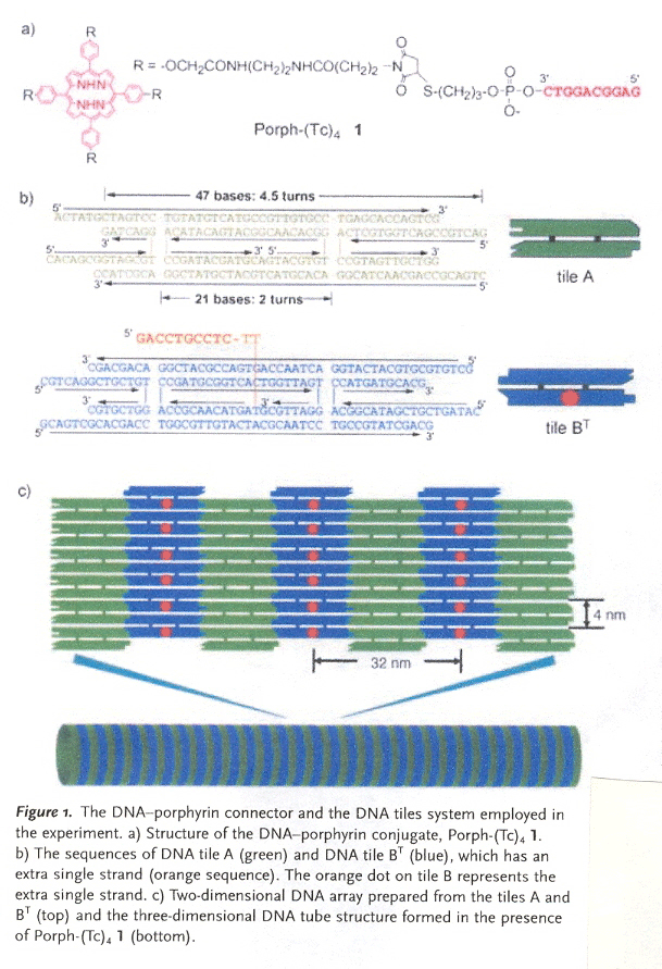 Porphyrin connector nanotube