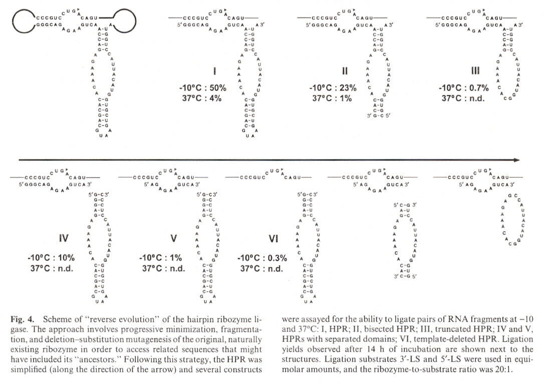 Reverse RNA Evolution