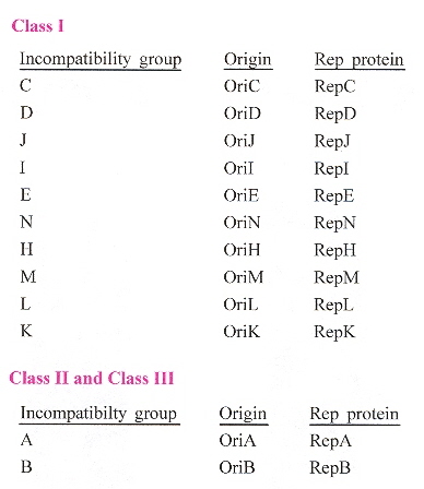 Staphylococcal plamid Ori and Rep proteins