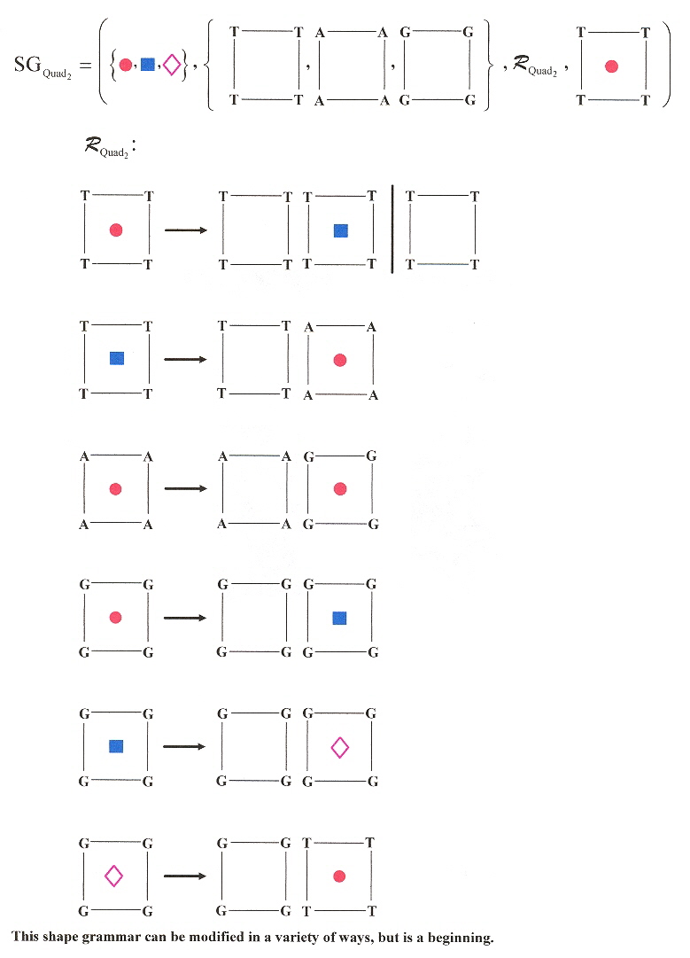 DNA Quadruplex Shape Grammar 2