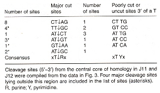 Cleavage Sites
