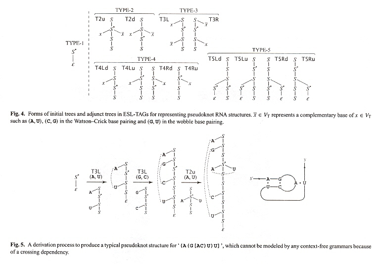 Pseudoknot RNA ESL-TAGs