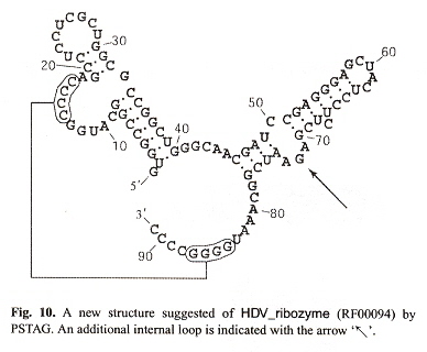 PSTAG RNA