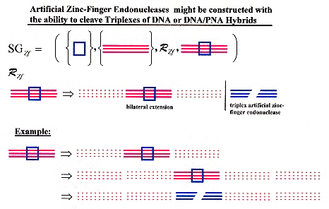 Artificial Zf Triplex Cleavage