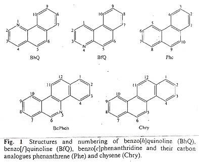 aza-PAH Adducts