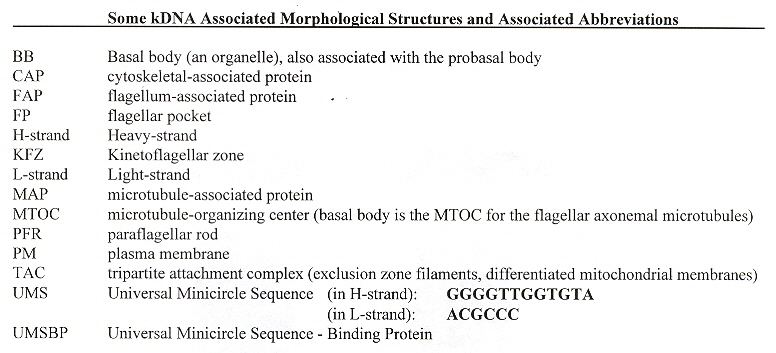 Kinetoplast Abbreviations