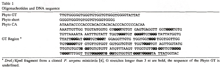 G-quartet Quadruplex Oligonucleotide Polymerase-arrest site Sequences