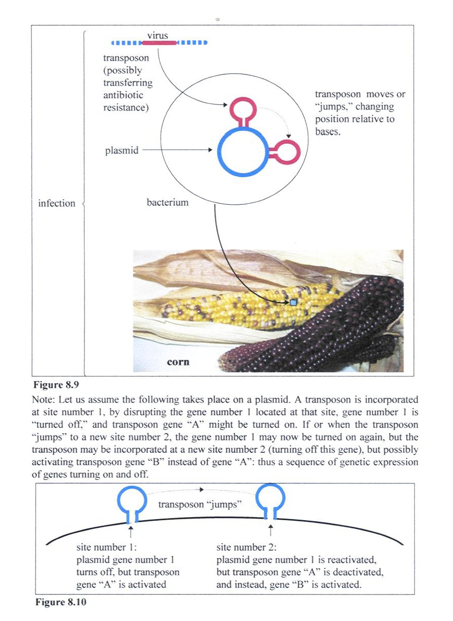 Page 281