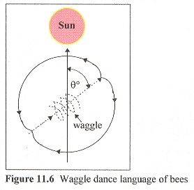 Page 364