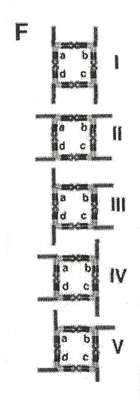 Five Types of TectoRNA squares