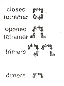 TectoRNA mers